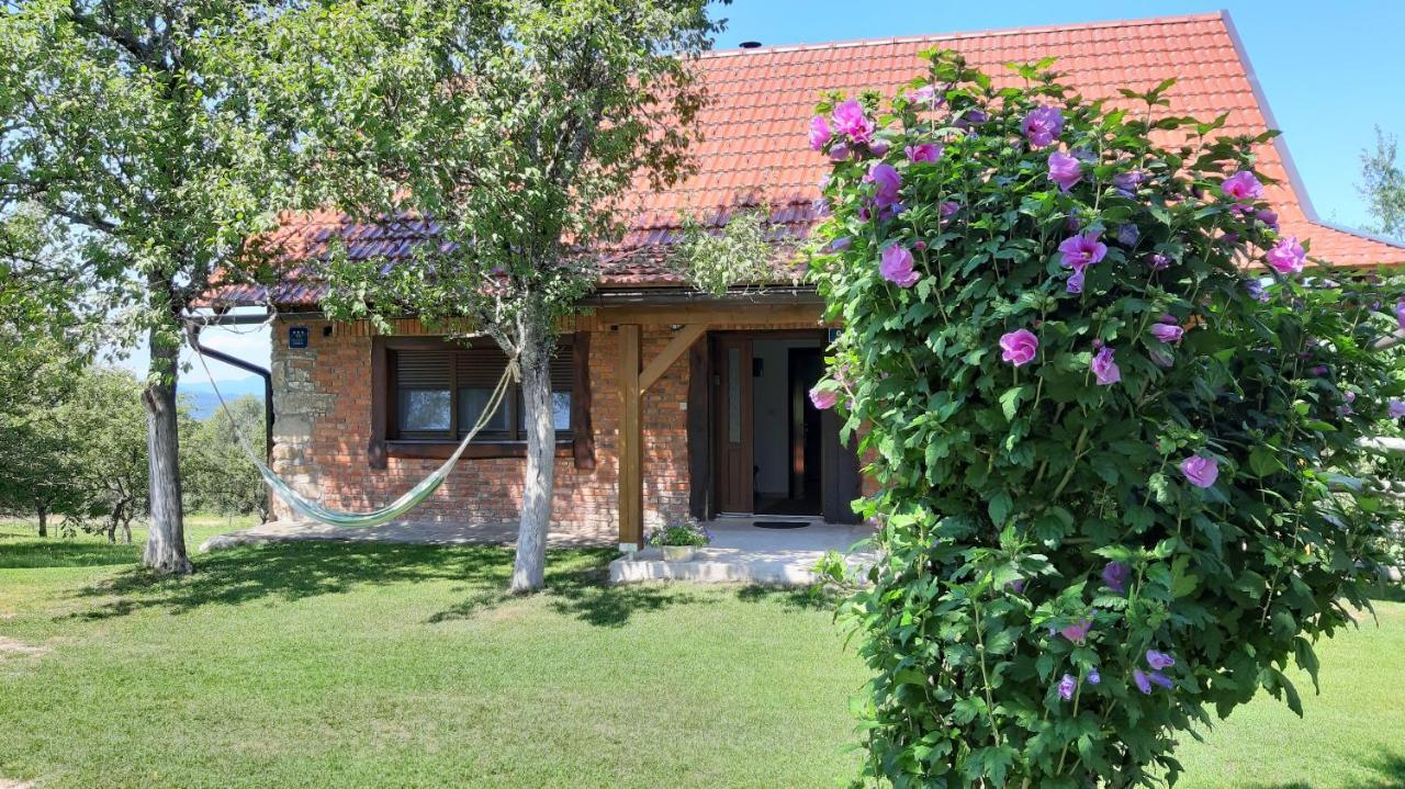 Holiday Home "Sleme" With Jacuzzi, Big Garden And Arbor With Fireplace Skrad Экстерьер фото